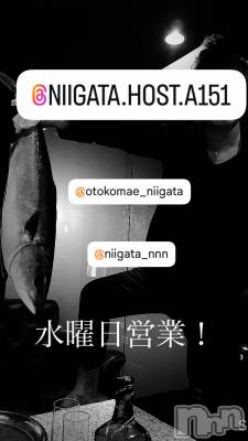 ĮۥȡܡСA151(ݥ) 褦(18)1119ֿ̥֥