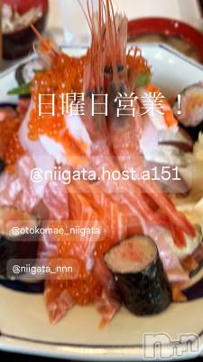 ĮۥȡܡСA151(ݥ) 褦(18)1123̥֥