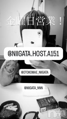 ĮۥȡܡСA151(ݥ) 褦(18)1128ֶ̥֥