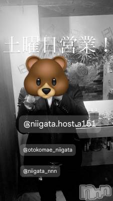 ĮۥȡܡСA151(ݥ) 褦(18)1129̥֥