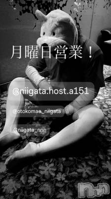 ��Į�ۥ��ȡ��ܡ������С�A151(�����������ݥ���) �褦(18)��12��15���̥�֥����ַ�������