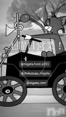 ��Į�ۥ��ȡ��ܡ������С�A151(�����������ݥ���) �褦(18)��12��20���̥�֥�������������