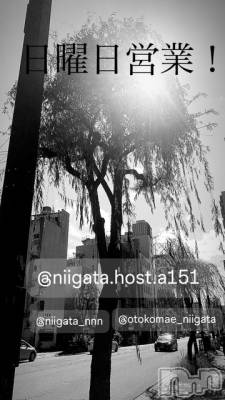 ��Į�ۥ��ȡ��ܡ������С�A151(�����������ݥ���) �褦(18)��1��11���̥�֥�������������