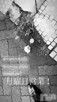 ��Į�ۥ��ȡ��ܡ������С�A151(�����������ݥ���) �褦(18)��1��26���̥�֥����ַ�������