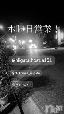 ��Į�ۥ��ȡ��ܡ������С�A151(�����������ݥ���) �褦(18)��2��4���̥�֥����ֿ�������