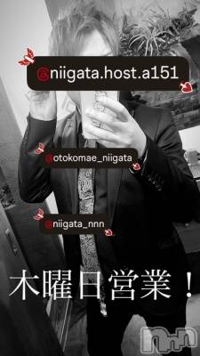 ��Į�ۥ��ȡ��ܡ������С�A151(�����������ݥ���) �褦(18)��2��12���̥�֥�������������