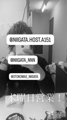 ��Į�ۥ��ȡ��ܡ������С�A151(�����������ݥ���) �褦(18)��2��19���̥�֥�������������