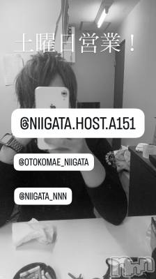 ��Į�ۥ��ȡ��ܡ������С�A151(�����������ݥ���) �褦(18)��3��7���̥�֥�������������