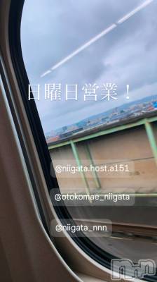 ��Į�ۥ��ȡ��ܡ������С�A151(�����������ݥ���) �褦(18)��3��15���̥�֥�������������