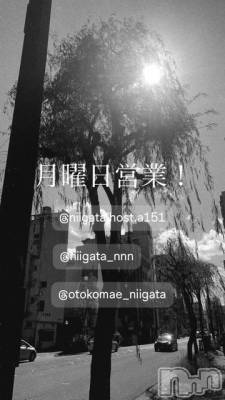 ��Į�ۥ��ȡ��ܡ������С�A151(�����������ݥ���) �褦(18)��3��23���̥�֥����ַ�������