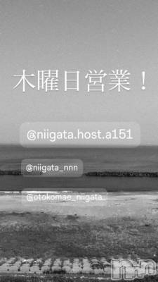 ��Į�ۥ��ȡ��ܡ������С�A151(�����������ݥ���) �褦(18)��3��26���̥�֥�������������