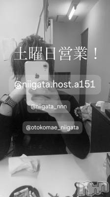 ��Į�ۥ��ȡ��ܡ������С�A151(�����������ݥ���) �褦(18)��3��28���̥�֥�������������