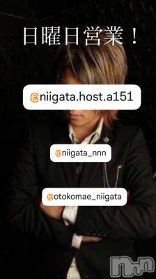 ��Į�ۥ��ȡ��ܡ������С�A151(�����������ݥ���) �褦(18)��4��5���̥�֥�������������