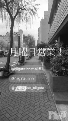 ��Į�ۥ��ȡ��ܡ������С�A151(�����������ݥ���) �褦(18)��4��6���̥�֥����ַ�������