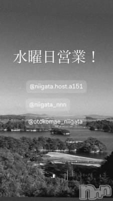 ��Į�ۥ��ȡ��ܡ������С�A151(�����������ݥ���) �褦(18)��4��8���̥�֥����ֿ�������