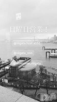 ��Į�ۥ��ȡ��ܡ������С�A151(�����������ݥ���) �褦(18)��4��12���̥�֥�������������