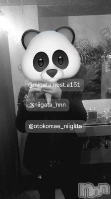 ��Į�ۥ��ȡ��ܡ������С�A151(�����������ݥ���) �褦(18)��4��13���̥�֥����ַ�������