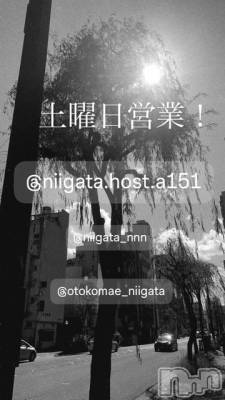 ��Į�ۥ��ȡ��ܡ������С�A151(�����������ݥ���) �褦(18)��4��18���̥�֥�������������