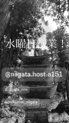 ��Į�ۥ��ȡ��ܡ������С�A151(�����������ݥ���) �褦(18)��4��22���̥�֥����ֿ�������