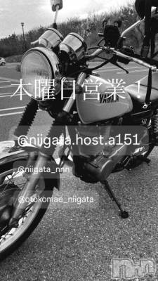 ��Į�ۥ��ȡ��ܡ������С�A151(�����������ݥ���) �褦(18)��4��23���̥�֥�������������