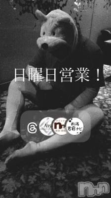 ��Į�ۥ��ȡ��ܡ������С�A151(�����������ݥ���) �褦(18)��6��21���̥�֥�������������