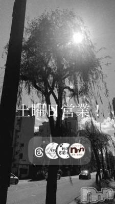 ��Į�ۥ��ȡ��ܡ������С�A151(�����������ݥ���) �褦(18)��7��4���̥�֥�������������