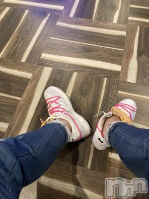 ĮۥȡܡСA151(ݥ) С椦1030ֺ̥֥ϻǡ
