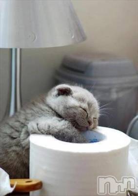 上越デリヘル 上越風俗出張アロママッサージ(ジョウエツフウゾクシュッチョウアロママッサージ) 涼（りょう）☆(39)の11月22日写メブログ「猫になりたい。」