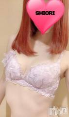 新潟デリヘルMinx(ミンクス) 詩織(24)の8月10日写メブログ「しおり」