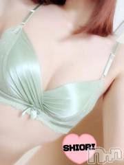 新潟デリヘルMinx(ミンクス) 詩織(26)の4月14日写メブログ「♡SHIORI♡」