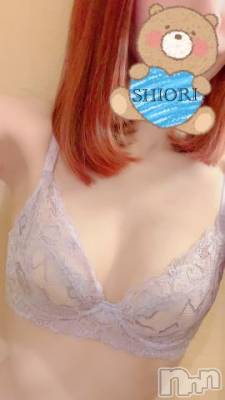 新潟デリヘル Minx(ミンクス) 詩織(24)の11月14日写メブログ「しおり」