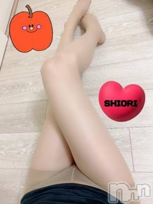 新潟デリヘル Minx(ミンクス) 詩織(24)の1月12日写メブログ「しおり」