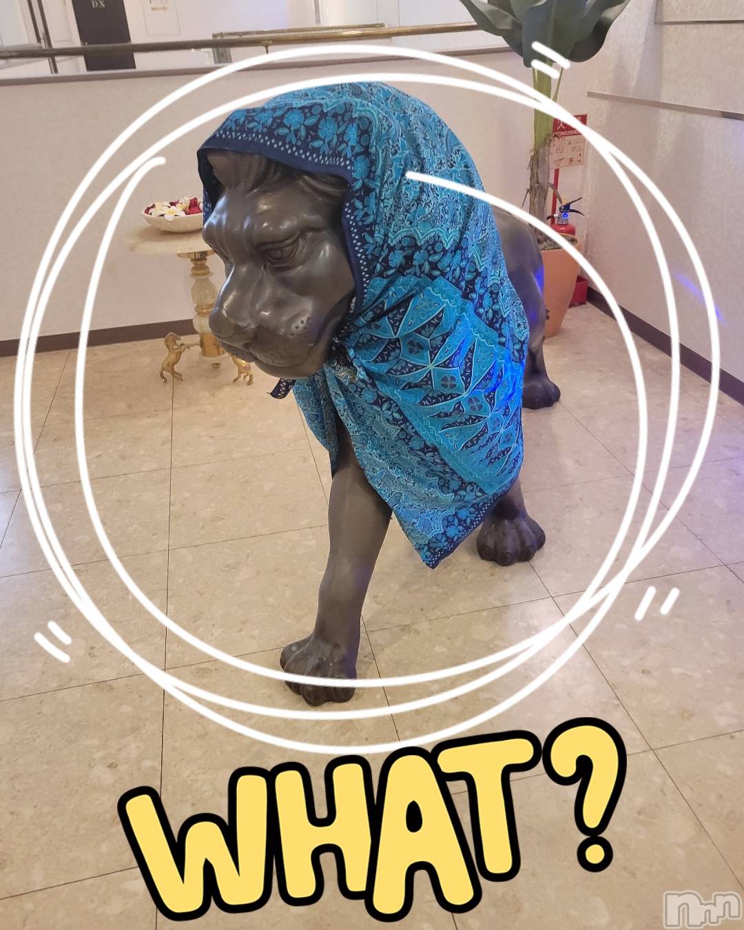 長岡デリヘルBIANCA～主人の知らない私～長岡店(ビアンカナガオカテン)園田　りず(41)の2025年8月23日写メブログ「どした？」