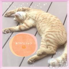 長岡デリヘルBIANCA～主人の知らない私～長岡店(ビアンカナガオカテン) 園田　りず(41)の11月26日写メブログ「ありがとうございました💕」