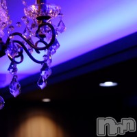 NIGHT MUSEUM フォトギャラリー画像3