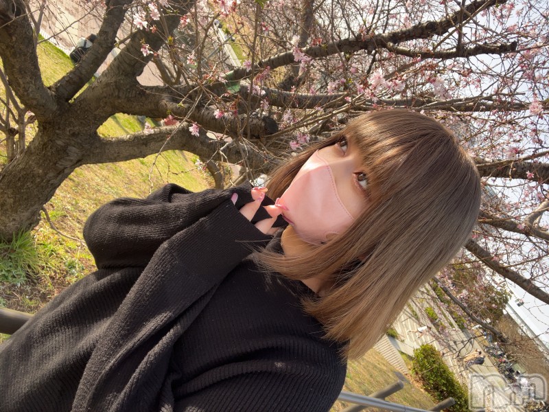 松本発デリヘルELYSION （エリシオン）(エリシオン)葵衣 aoi (27)の2023年3月17日写メブログ「さくら」