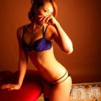 新潟デリヘル GRACE　新潟(グレース　ニイガタ)の11月25日お店速報「★超美人!超美形の美女達が集結!!★」