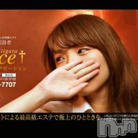 新潟風俗エステ GRACE　新潟(グレース　ニイガタ)の3月1日お店速報「至高の癒しを・・・超美人!超美形の美女達が出勤!!」