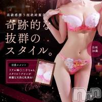 新潟風俗エステ GRACE　新潟(グレース　ニイガタ)の7月9日お店速報「カワイイ系～キレイ系…美人セラピスト勢ぞろい」