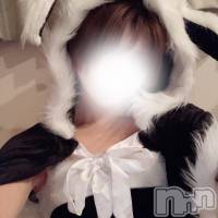 新潟風俗エステ GRACE　新潟(グレース　ニイガタ)の12月29日お店速報「新人含むカワイイ系～キレイ系…美人セラピスト勢ぞろい」