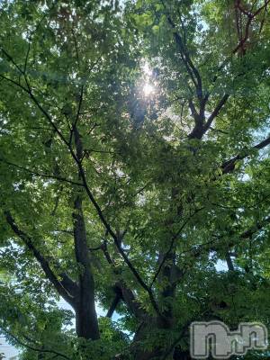 長岡デリヘル BIANCA～主人の知らない私～長岡店(ビアンカナガオカテン) 西垣　ゆりあ(39)の6月27日写メブログ「木陰」