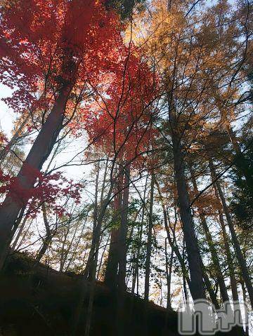 長野人妻デリヘルつまみぐい(ツマミグイ) さわ(37)の11月8日写メブログ「★紅葉★」