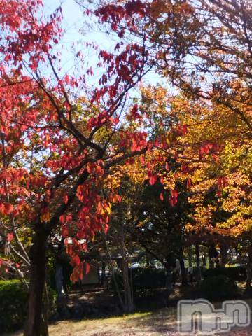 長野人妻デリヘルつまみぐい(ツマミグイ)さわ(37)の2023年11月3日写メブログ「秋晴れ☀」