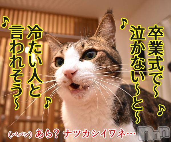 長野人妻デリヘル完熟マダム(カンジュクマダム) 円香(48)の3月6日写メブログ「ホッコリ(’-’*)♪」