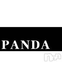 Ĺԥʥå륺С PANDA(ѥ) β(1)