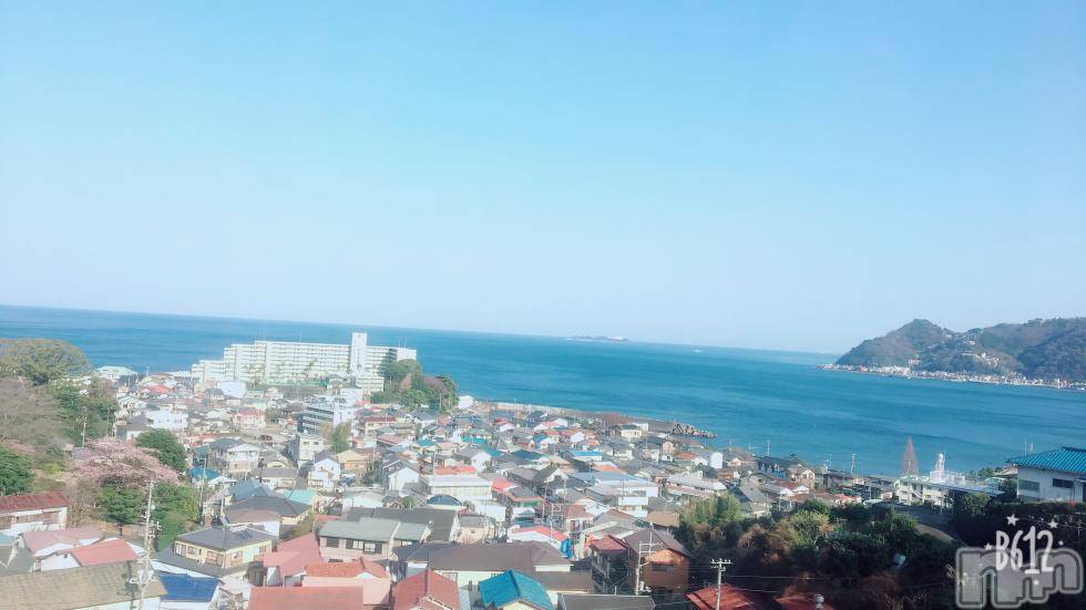 ܱХ顦֥ ץ ( ץ ޥĥ) 72̥֥֡172