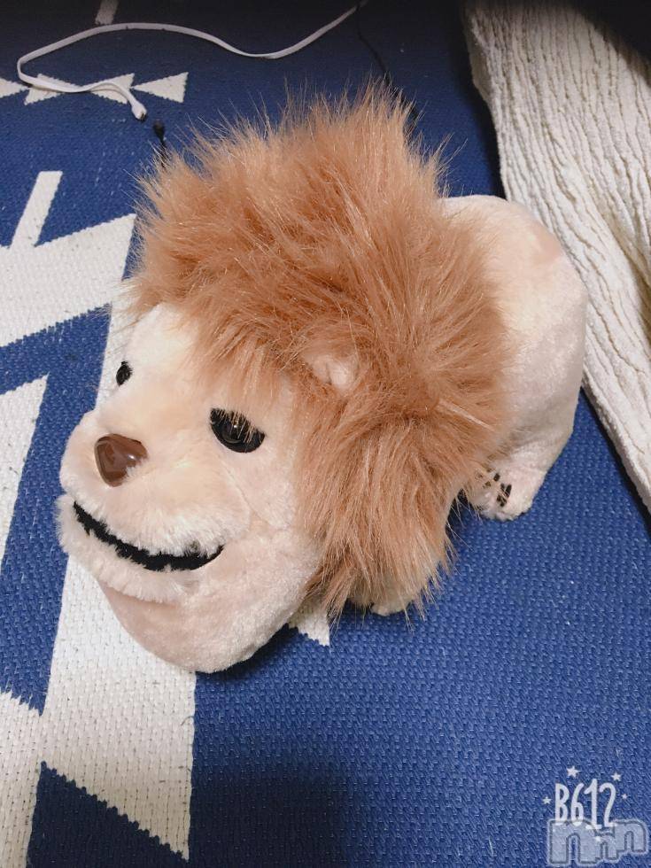 ܱХ顦֥ ץ ( ץ ޥĥ) 74̥֥֡173