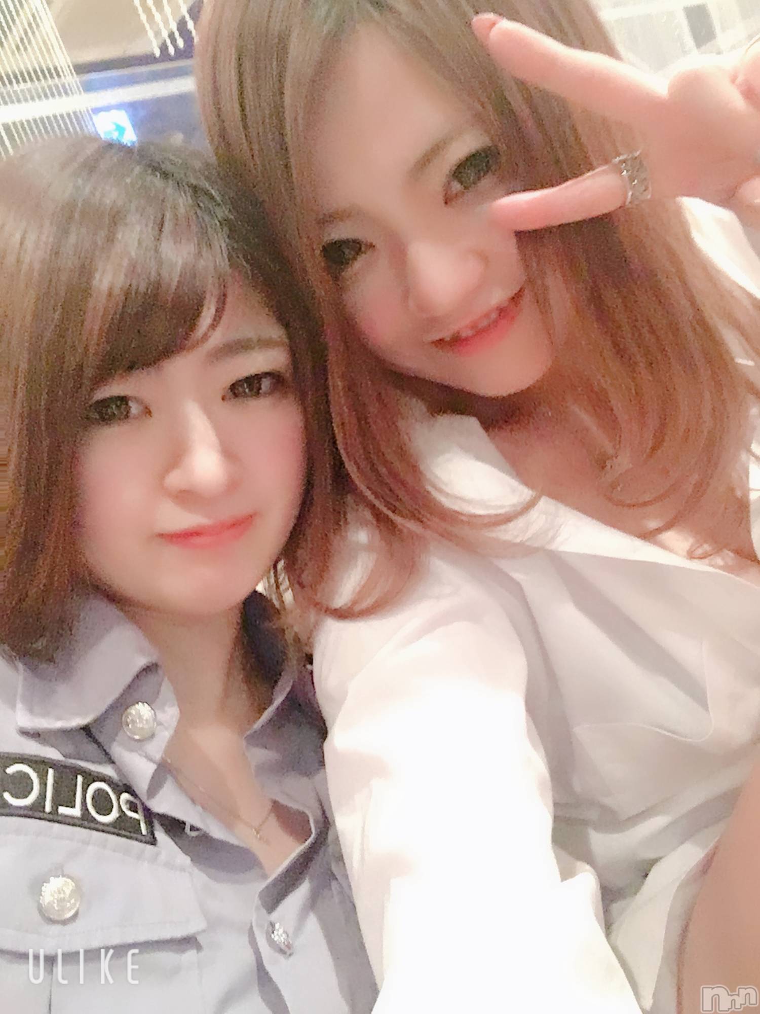ܱХ顦֥ ץ ( ץ ޥĥ) 2019ǯ327̥֥֡217