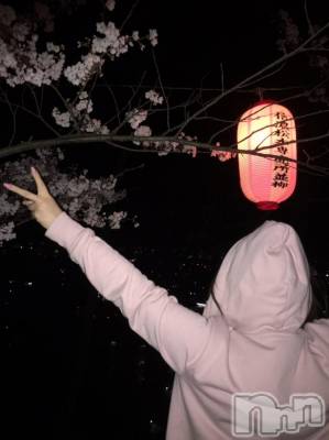 ܱХ顦֥ ץ ( ץ ޥĥ) 519̥֥֡29