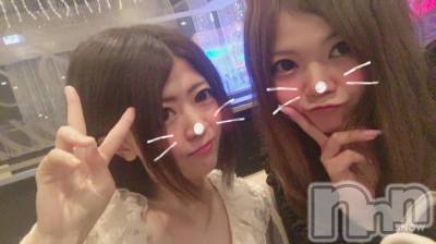 ܱХ顦֥ ץ ( ץ ޥĥ) 715̥֥֡55